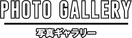 PHOTO GALLERY/写真ギャラリー
